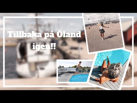 Vlogg: "Kolla där är kungen!!" 😅