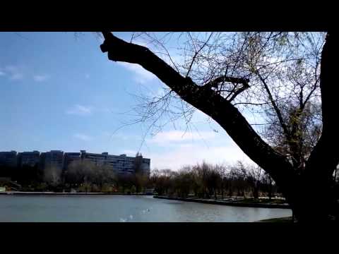 Allview P5 Quad video sample II. - Mobilissimo.ro