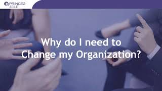 Medium Sized YouTube thumbnail