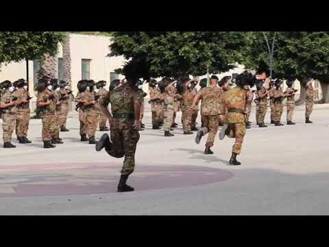 Cambio al 6º Battaglione Bersaglieri “Palestro”