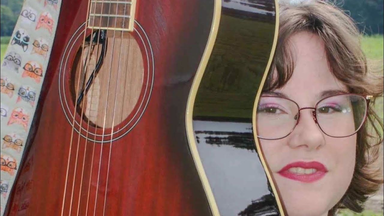 Promotional video thumbnail 2 for Allie Donovan Music