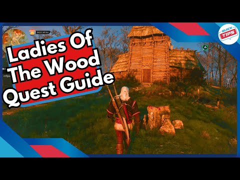 Ladies Of The Wood Quest Guide in Witcher 3