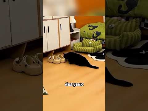 Ce chat agissait bizarrement… jusqu’à ce qu’elle découvre la vérité 😳❤️ #shorts