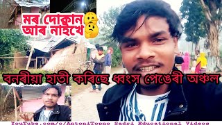 24 Nov/বনৰীয়া হাতী ভাঙি থৈ গল। মৰ দোকান আৰ‌ নাইখে 🤔 / Antoni Topno Sadri Vlog Video 2021