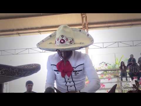 Piales 3 de 3 Jose Andres Aceves - #ArenaVallarta2017