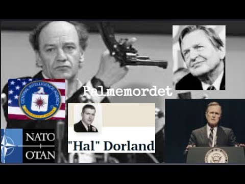 Palmemordet. Jonas Englund från Palmegruppen: Väst tjänade mest på mordet.