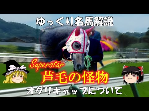 SGH09: 水生環境に対する危険性