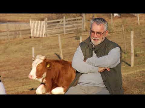 Reč struke ep. 219 15.11.2018. - Selekcija u govedarstvu