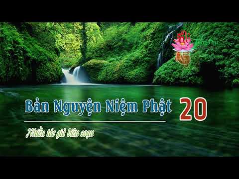 20. Luận về báo thân tịnh độ