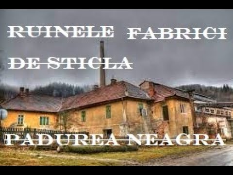 Ruinele celebrei fabrici de sticla Padurea Neagra