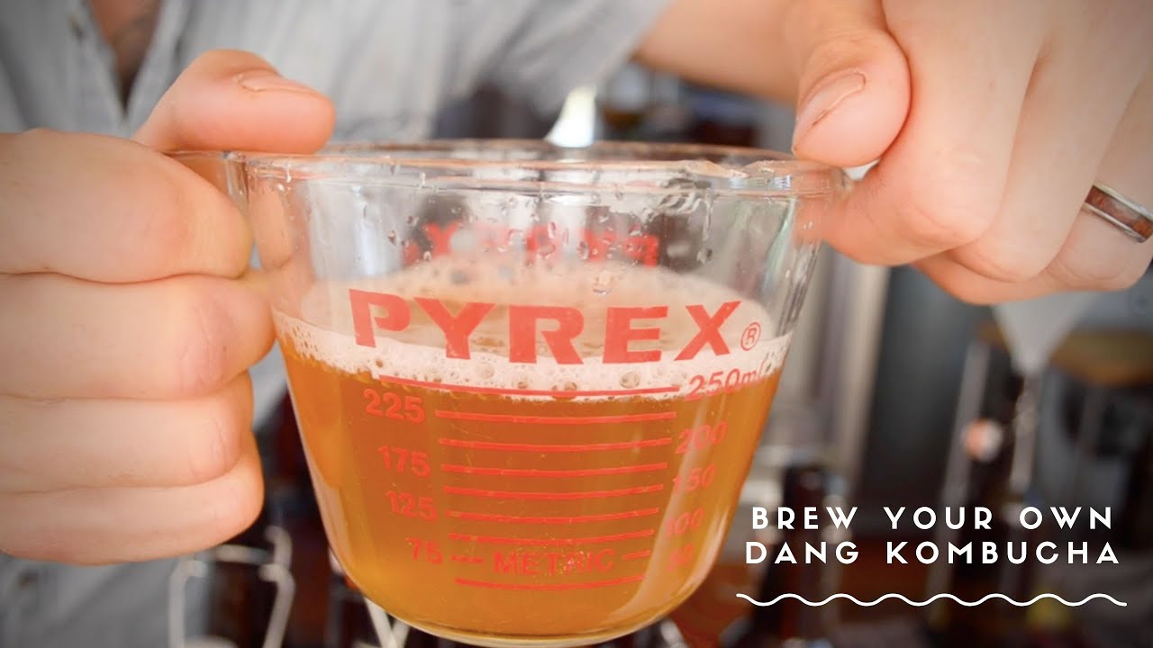 Never buy kombucha again....how to brew your own dang Kombucha.