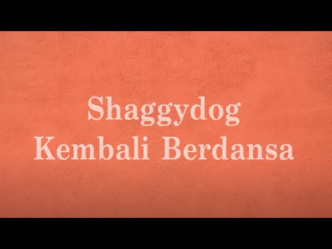 Shaggydog - Kembali Berdansa - Lirik River