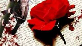 grupo bronco. casas del corazon