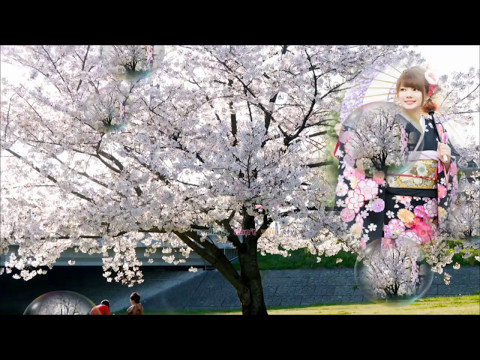 Sayonara Japanese Goodbye