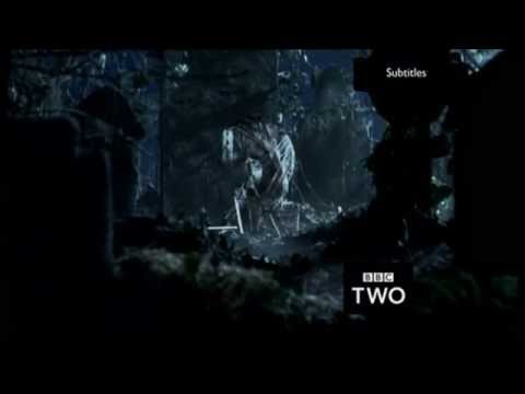 BBC TWO - Continuity Announcements - 01.11.15