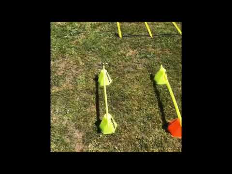 Day in the Life 6 | Explosive Leg Workout