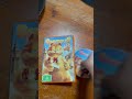 Garfield 2 2006 DVD Overview