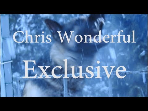 Chris Wonderful - Exclusive | Peaceful & Relaxing Instrumental Music