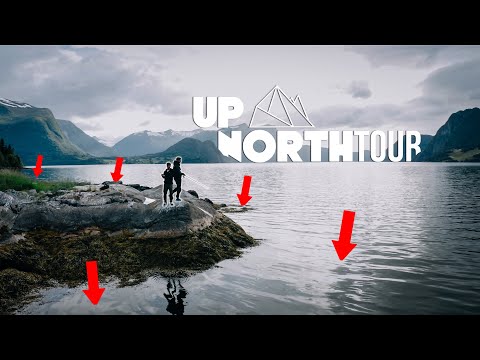 Welche FISCHE leben in diesem NORWEGISCHEN Fjord? UPNORTH-Tour (6)