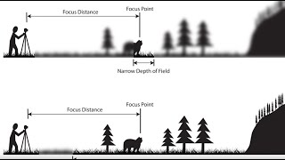 Depth of Field 2