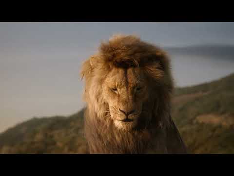 Der König der Löwen