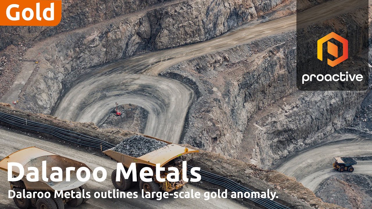 Dalaroo Metals CEO discusses Gold Ridge large-scale gold anomaly 