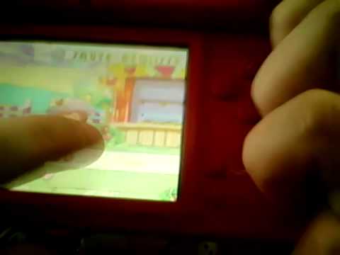 L�a Passion pr�sente mes Secrets de Filles Nintendo DS