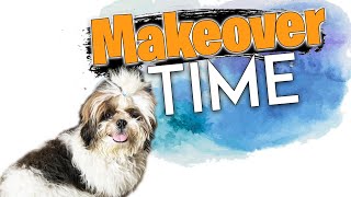 It’s Makeover Time |Happy| Booster Puppy New Cute Look| My Pet Dog| Hairstyle | vlog |