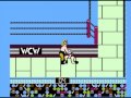 WCW World Championship Wrestling Single Lex Luger No Losses No Draws