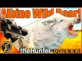 ALBINO Wild Boar On Cuatro Colinas TheHunter Call Of The Wild