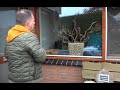 Óngerwaeg voelt zich lamlendig in Maasbree - 9 december 2021
