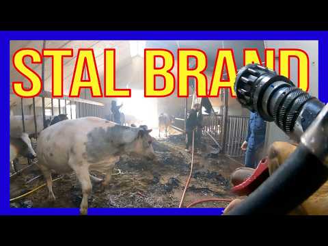 Stalbrand - VOLUNTEERS DUTCH FIREFIGHTERS -