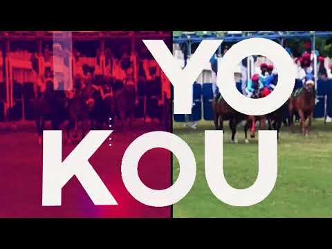 Turf Plus:12ème Journée