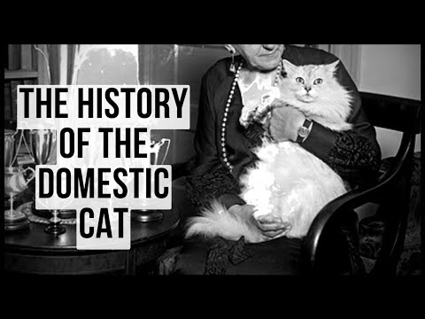 The History of the Domestic Cat