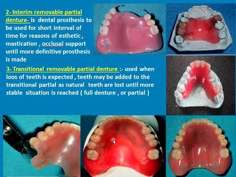 2ND Y , PD LEC 2, VID