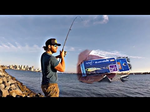 Major Craft Jigpara Spin FW 2.7cm 7g Sexy Shad S