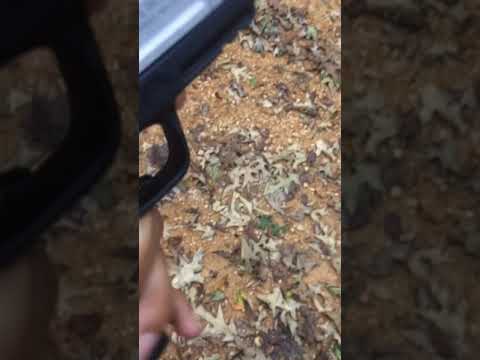 Smith & Wesson sd40ve            What’s your favorite 40 s&w?