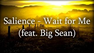 Salience - Wait for Me (feat. Big Sean) [Remix]