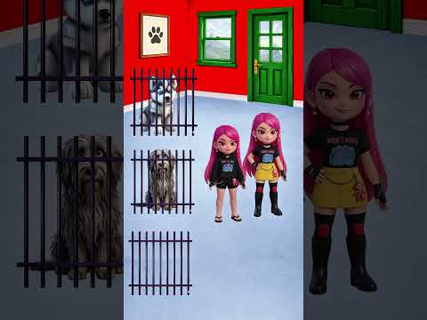 quem ajuda o cachorrinho? Rumi vs Jinu