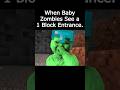 Baby Holding Laugh Minecraft