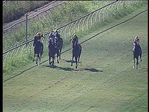 Galoppo 24/07/2019 - 5ª corsa