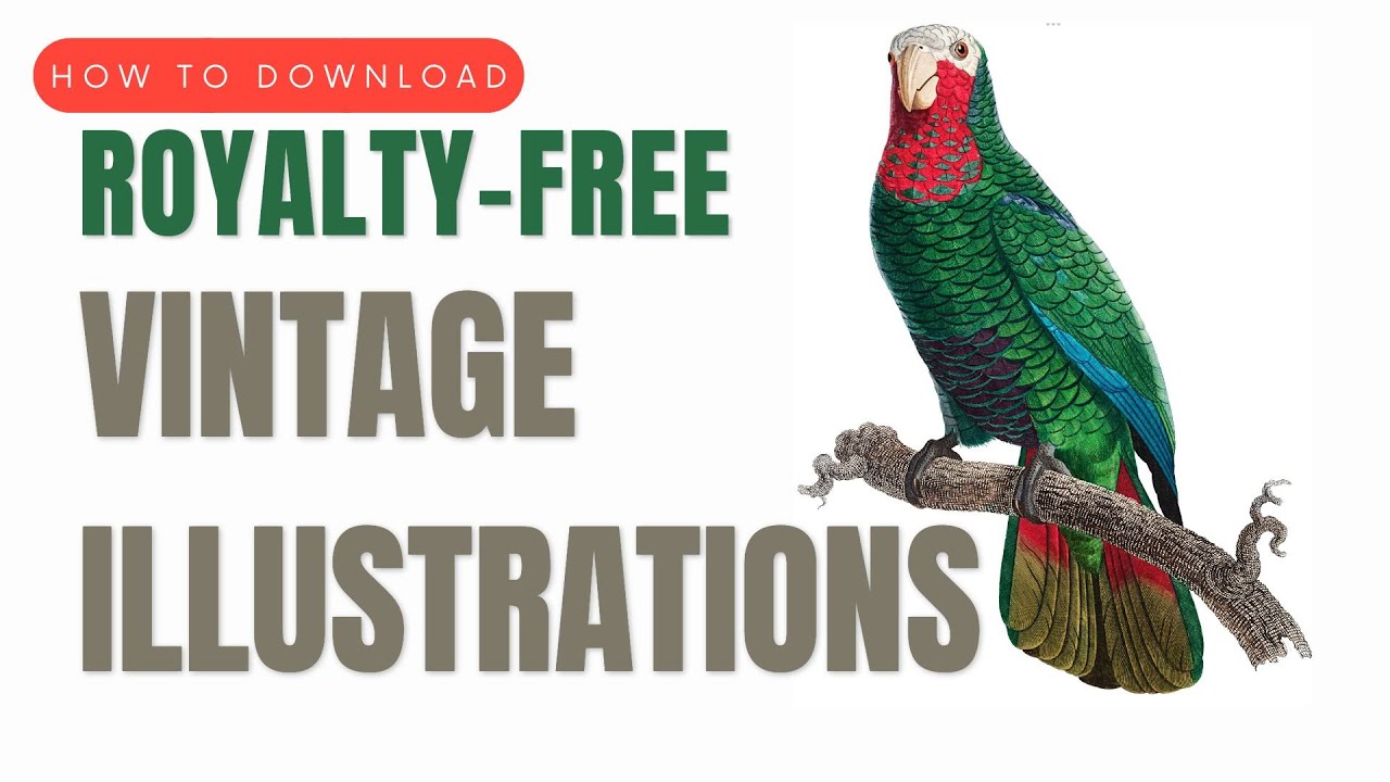 Procreate How To: Download Royalty-Free Vintage Illustrations