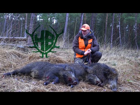 Driven hunt with the Hunter Brothers