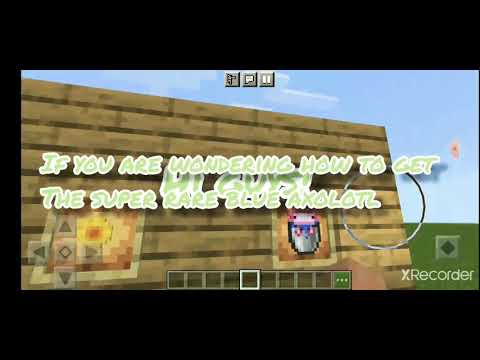HOW TO GET THE SUPER RARE BLUE AXOLOTL EASY! (Minecraft)