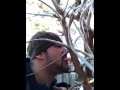 Tongue stuck on ice 