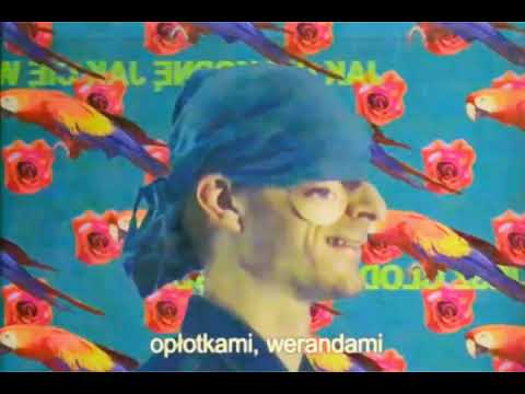 Grzybowe Melodie - Ballada w rytme dżins (Color correction)