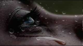 The Undisputed Truth Walk On By (Vinyl)