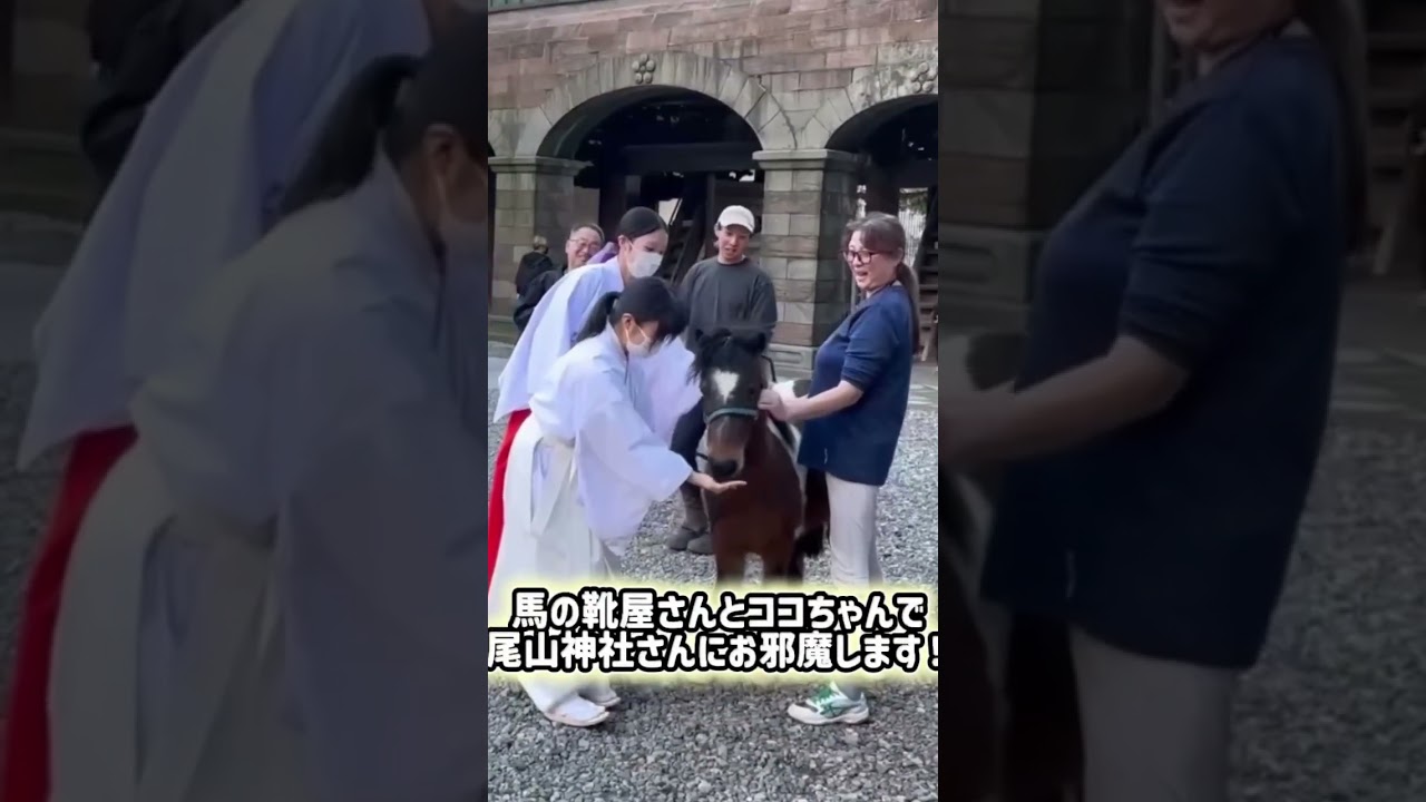 干支の動物に触れると良いことが！