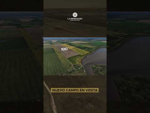 Arroyo Aguiar 100 hectáreas