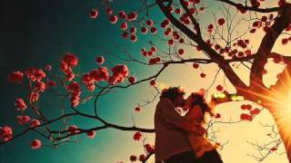 Galapagos - Don't Speak To Me